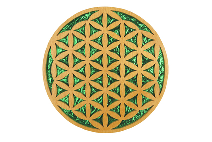 Flower of life symbol, flower of life secrets, flower of life explained, Nassim Hermani, 