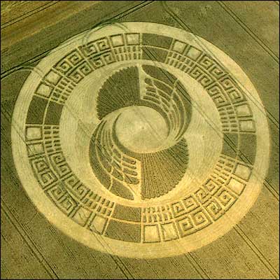 crop circles, alien crop cricles, most complex crop cricle, new crop cricle, ufo crop circile. 